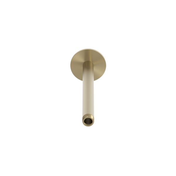 Long Ceiling-Mounted Shower Arm in Gold Finish