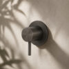 DEVIATORE MURO LEVANTE CANNA FUCILE Ambientata 100x100