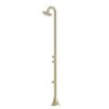 DOCCIA INOX LUNA DOPPIO TMP ORO 100x100