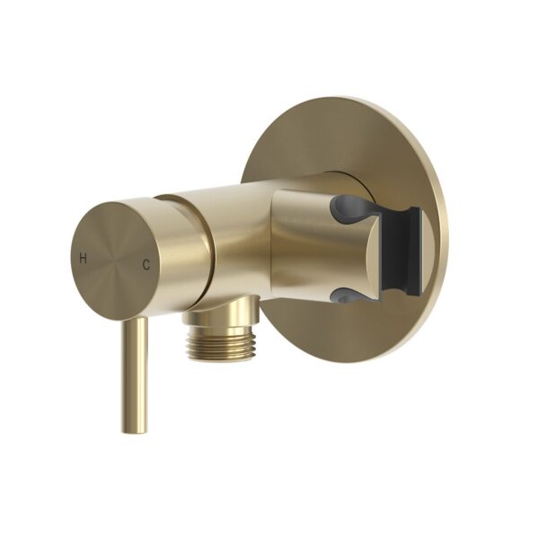 Gold PVD