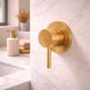 MISCELATORE MURO LEVANTE ORO Ambientata 1 100x100